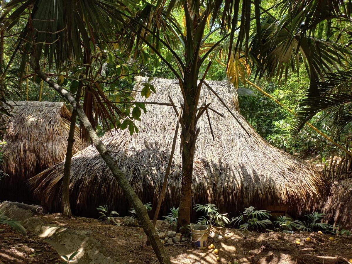 Magdalena Beach House لوس نارانخوس المظهر الخارجي الصورة