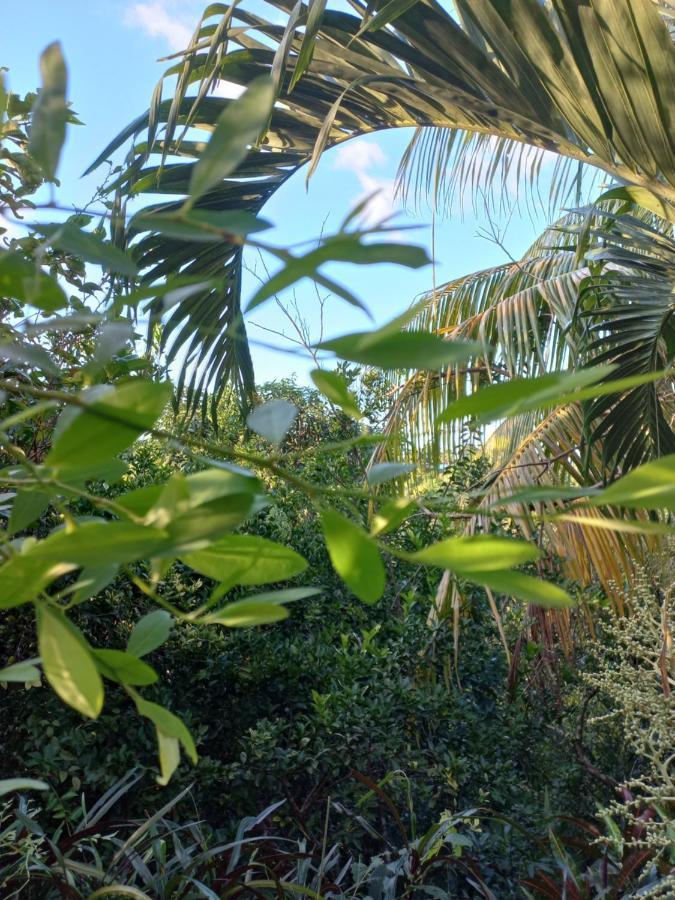 Magdalena Beach House لوس نارانخوس المظهر الخارجي الصورة