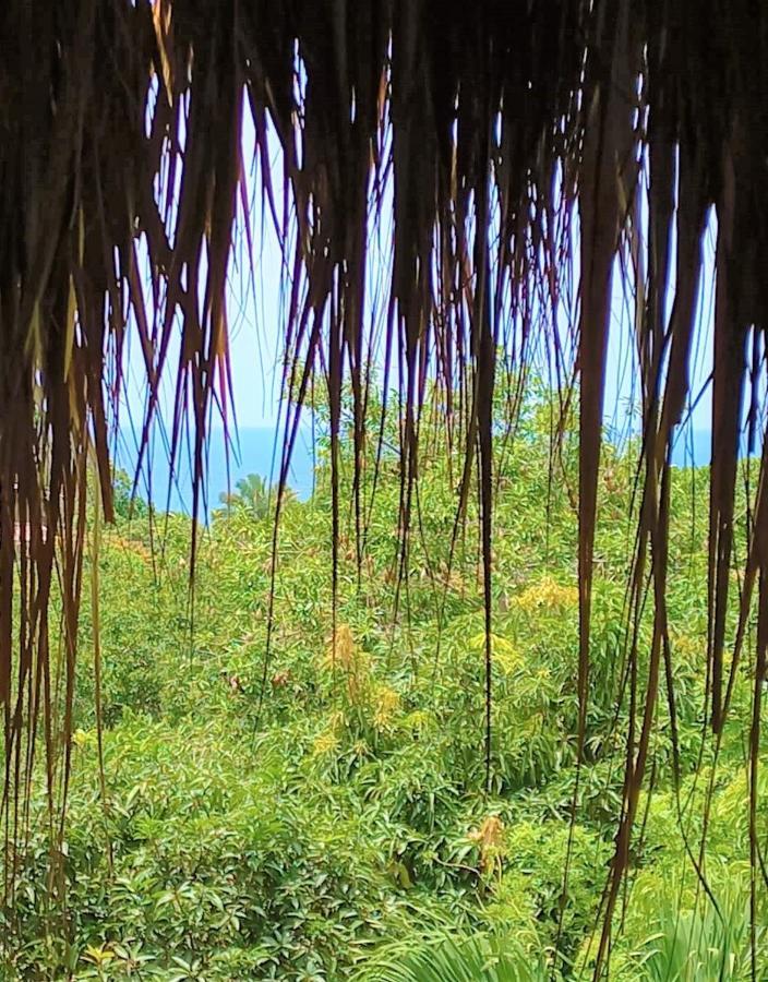 Magdalena Beach House لوس نارانخوس المظهر الخارجي الصورة